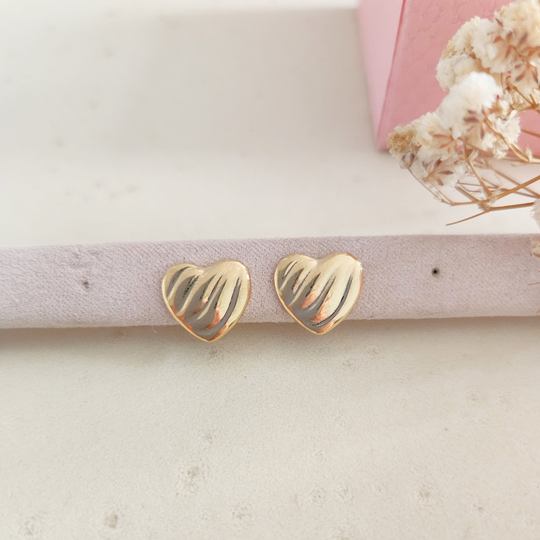 Aretes Emilia - Colección Acero