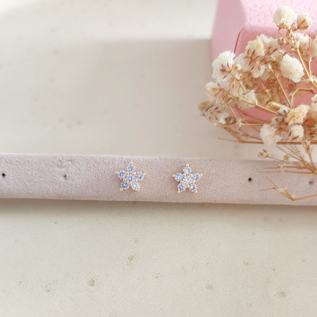 Aretes Roseta - Colección Acero