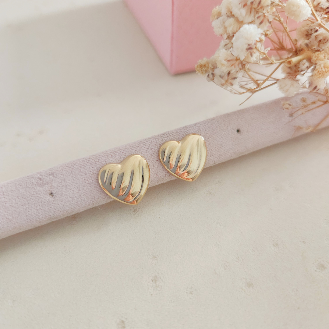 Aretes Emilia - Colección Acero