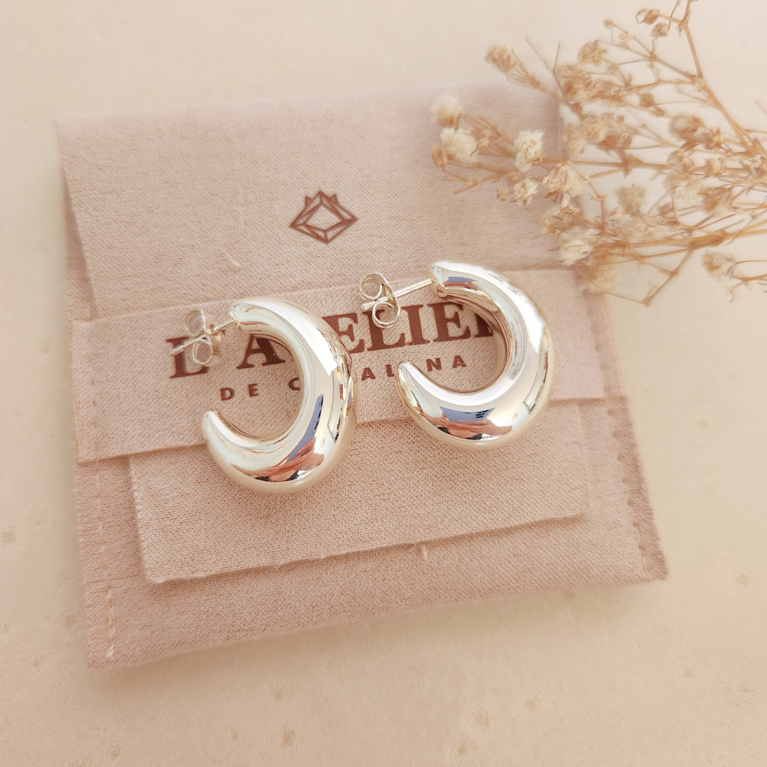 Aretes Ara Plateado - Colección Acero