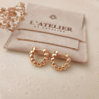 Argollas Ara - Colección Acero