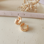 Argolla Briana - Colección Acero