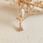 Collar Iniciales Mini Deluxe - Colección Acero