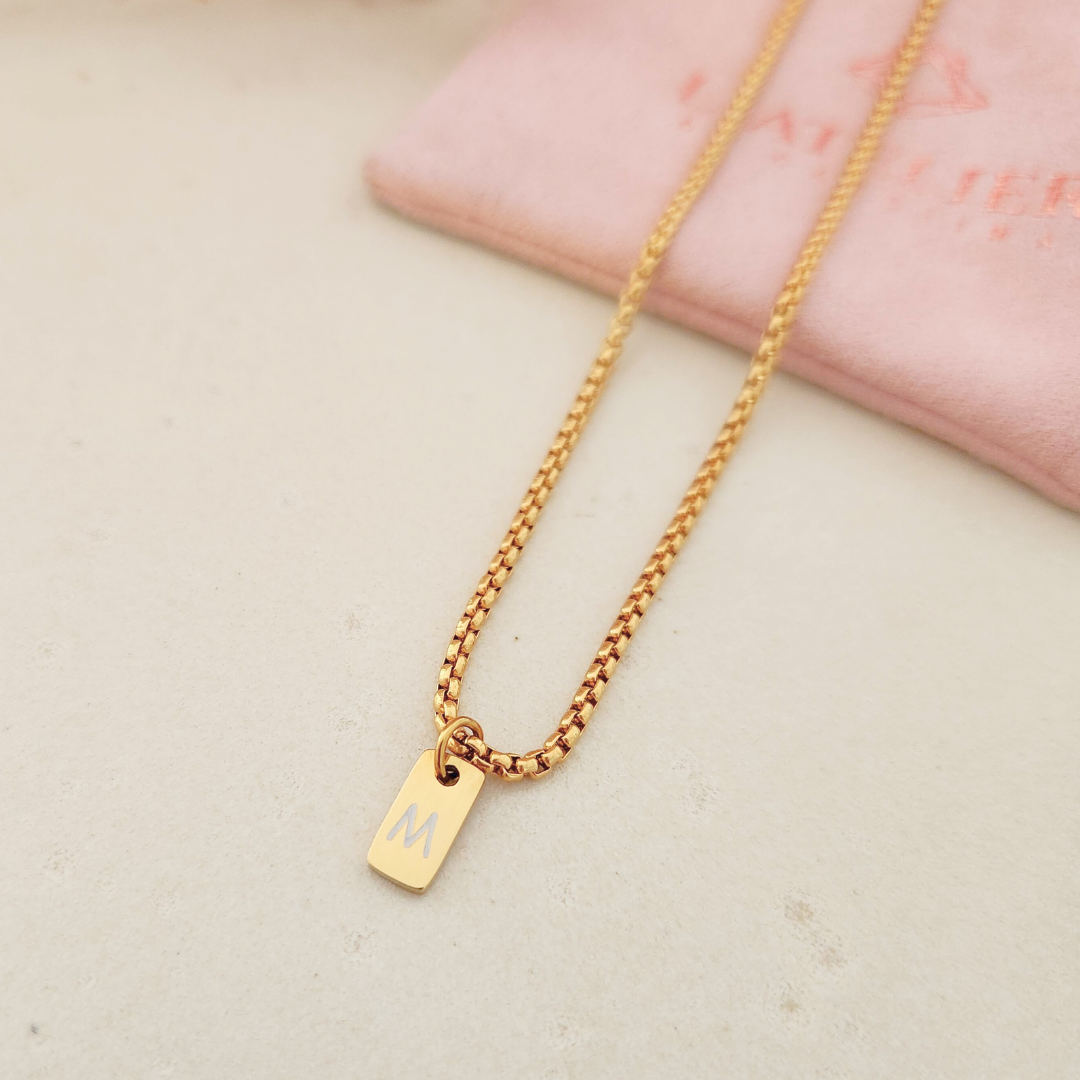 Collar Placa Gold Hombre - Colección Acero Imagen principal del producto