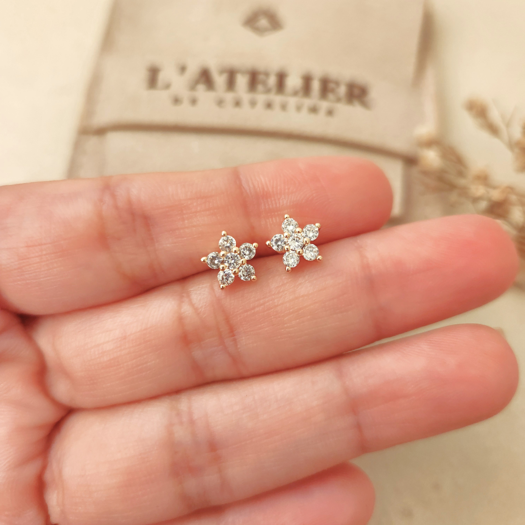 Aretes Roseta - Colección Acero